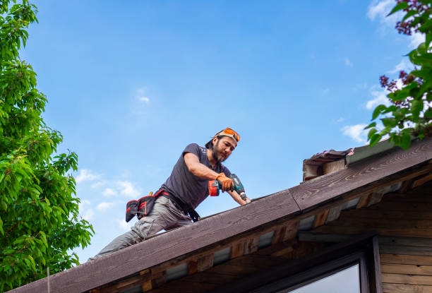 Best Green or Eco-Friendly Roofing Solutions  in Ashton, ID